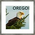 Oregon Eagle Framed Print