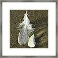 Oregon Feather Framed Print
