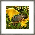 Oregon Slug Framed Print