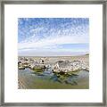 Oregon Tide Pool Framed Print