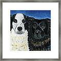 Oreo And Buddy Framed Print