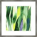 Organic Abstract By Nature I Framed Print