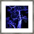 Organic Blue Abstraction Framed Print