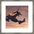Ospreys In Flight Framed Print