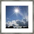 Our Shining Star Framed Print