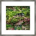 Our Woods In Nc Framed Print