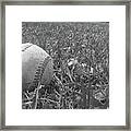 Out In Left Field All Alone Framed Print
