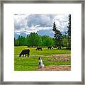 Out In The Pasture Framed Print