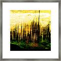 Out Of Darkness Framed Print