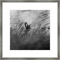 Out Of The Blue Framed Print