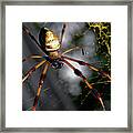 Out Of The Dark Framed Print