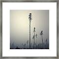 Out Of The Gray Ashes Framed Print