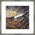 Out Of The Miry Clay 2 Framed Print