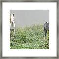 Out Of The Mist, 2 Framed Print
