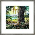 Out On The Farm Framed Print