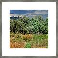 Out On The Mesa 1 Framed Print