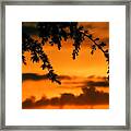 Out Reaching Framed Print