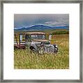 Out To Pasture Framed Print