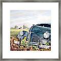 Out To Pasture Framed Print