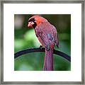 Over The Shoulder Framed Print