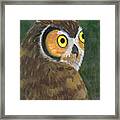 Owl 2009 Framed Print