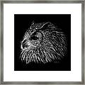Owl Black And White Framed Print