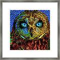 Owl Framed Print