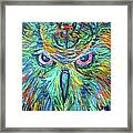 Owl Stare Framed Print