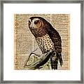 Owl Vintage Illustration Over Old Encyclopedia Page Framed Print