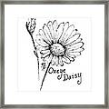 Oxeye Daisy Framed Print