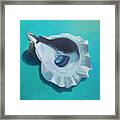 Oyster Blues Framed Print