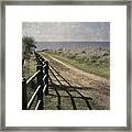 Pacific Path Framed Print