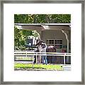 Paddock 3 Framed Print