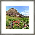 Paintbrush On The Slope Of Clements Mountain Framed Print