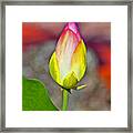 Painted Exotic Bud Framed Print