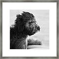 Painted Lexi Framed Print