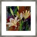 Painted Lilies Framed Print