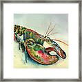 Painted Lobster Framed Print