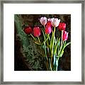 Painted Tulips Framed Print