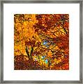 Painterly Framed Print