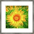 Painterly Sunflower Twirl Framed Print