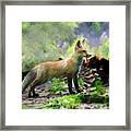 Paintography Red Fox Standing Straight Framed Print