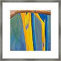 Pair Of Blue And Gold Macaws Framed Print