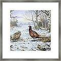 Pair Of Pheasants With A Wren Framed Print