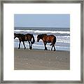 Palamino Ponies On The Beach Framed Print