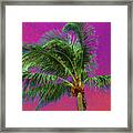 Palm 1012 Framed Print