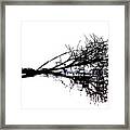 Palm Branch At The Beach Framed Print