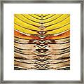 Palm Frond Leaf Macro Framed Print