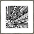 Palm Leaf In Black And White Framed Print