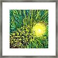 Palm Sunburst Framed Print